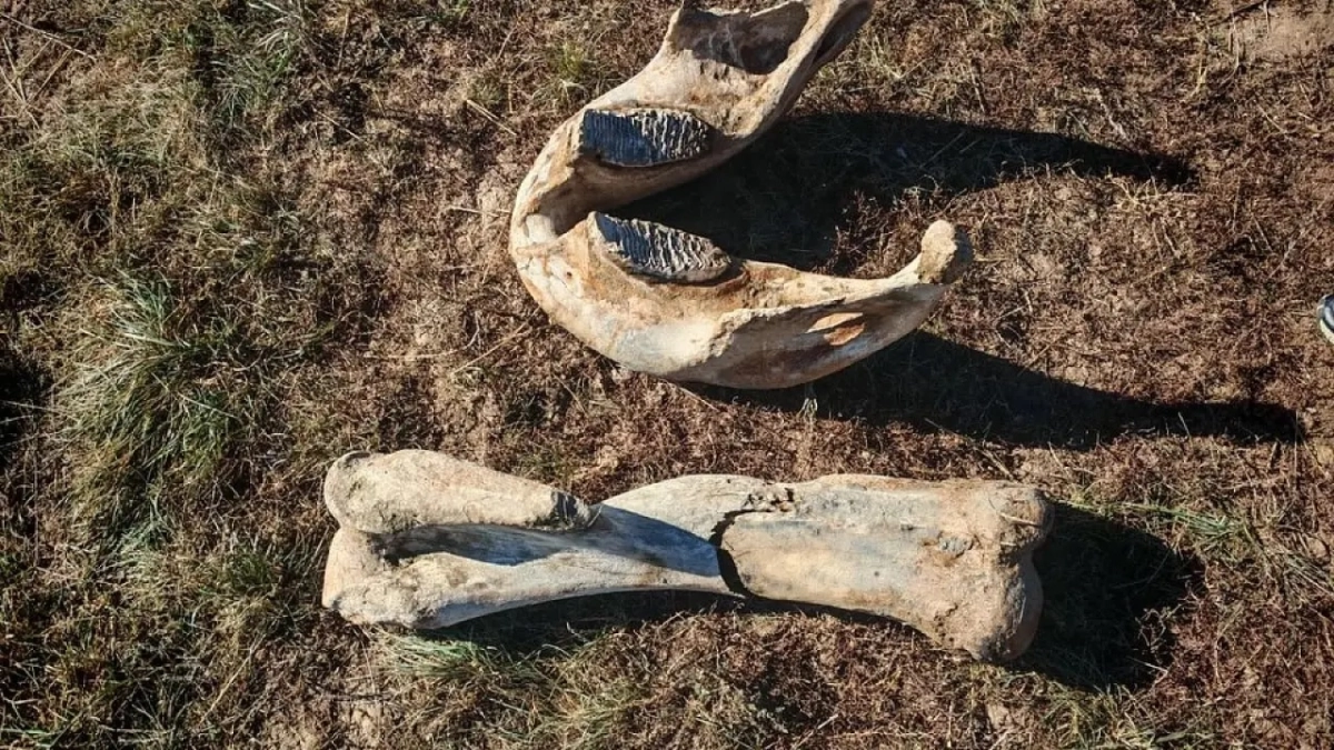 Фото: facebook.com/www.qrum.kz