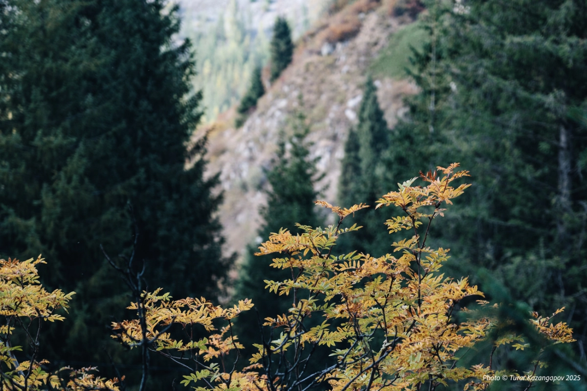 Фото: Newtimes.kz/ Турар Казангапов