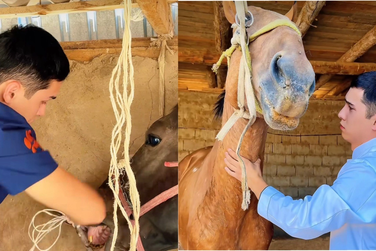Фото: скриншот из видео