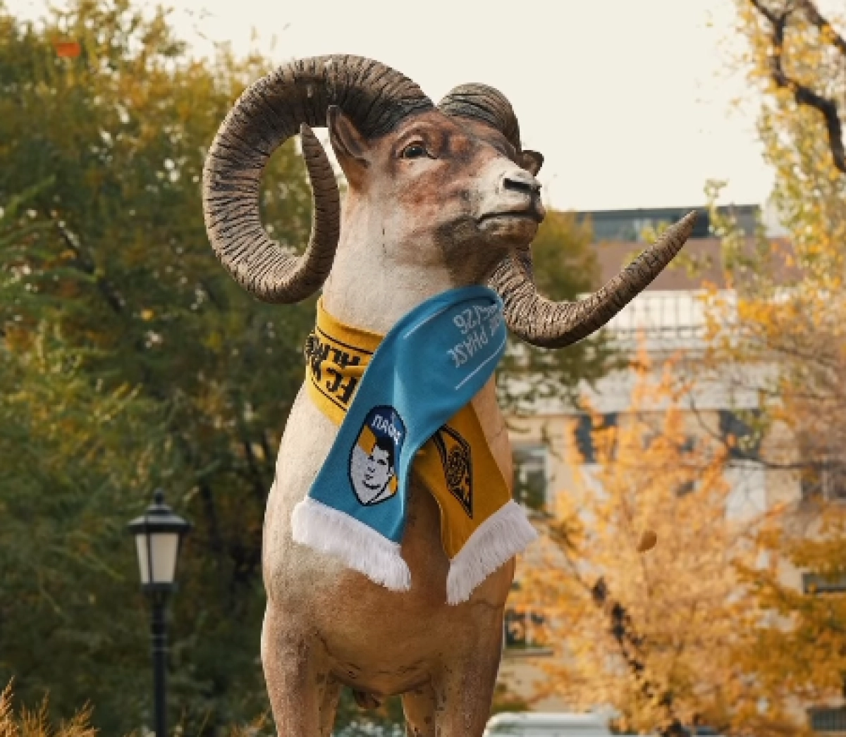 Кадр из видео