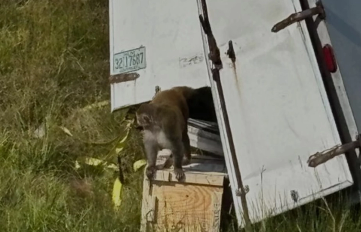 Фото: департамент шерифа округа Джаспер, Миссисипи/Facebook