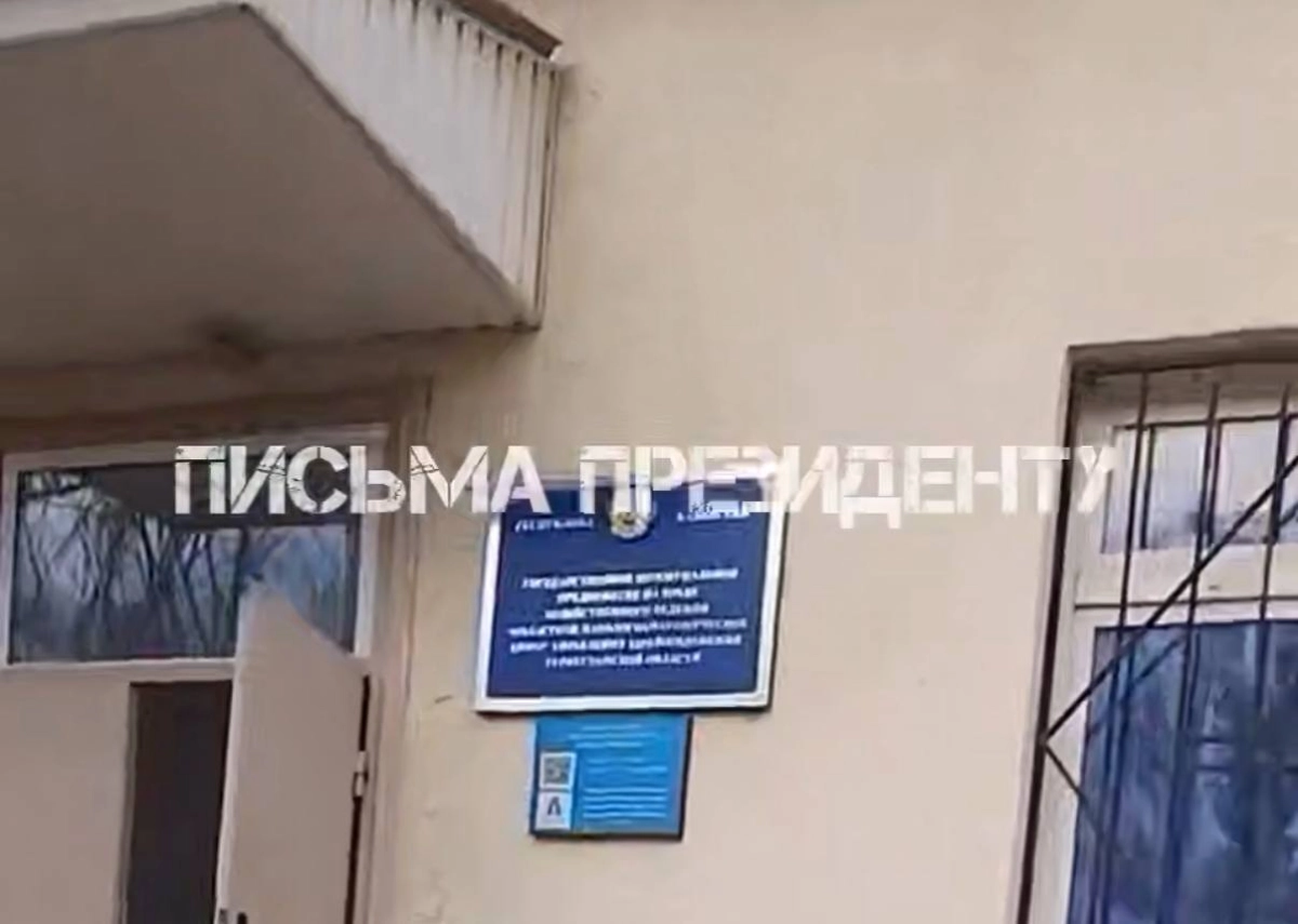 Фото: скриншот из видео