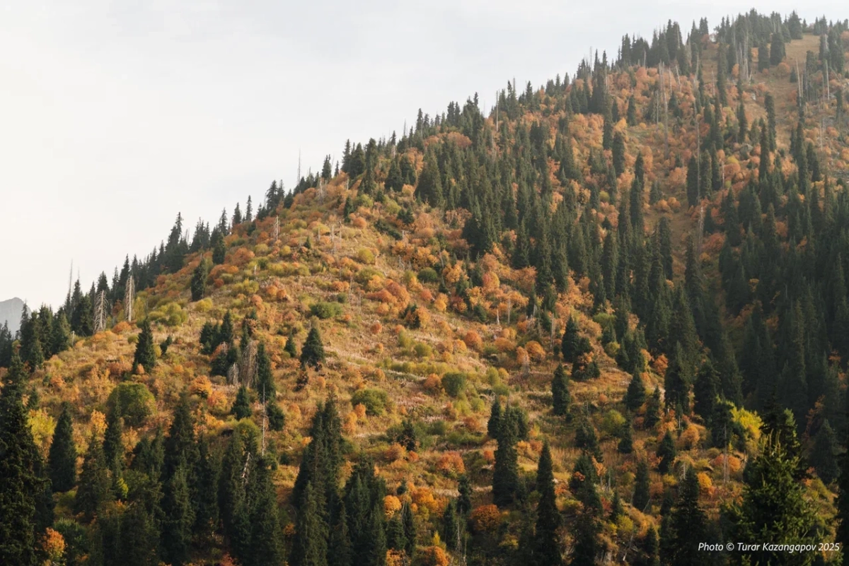 Фото: Newtimes.kz/ Турар Казангапов