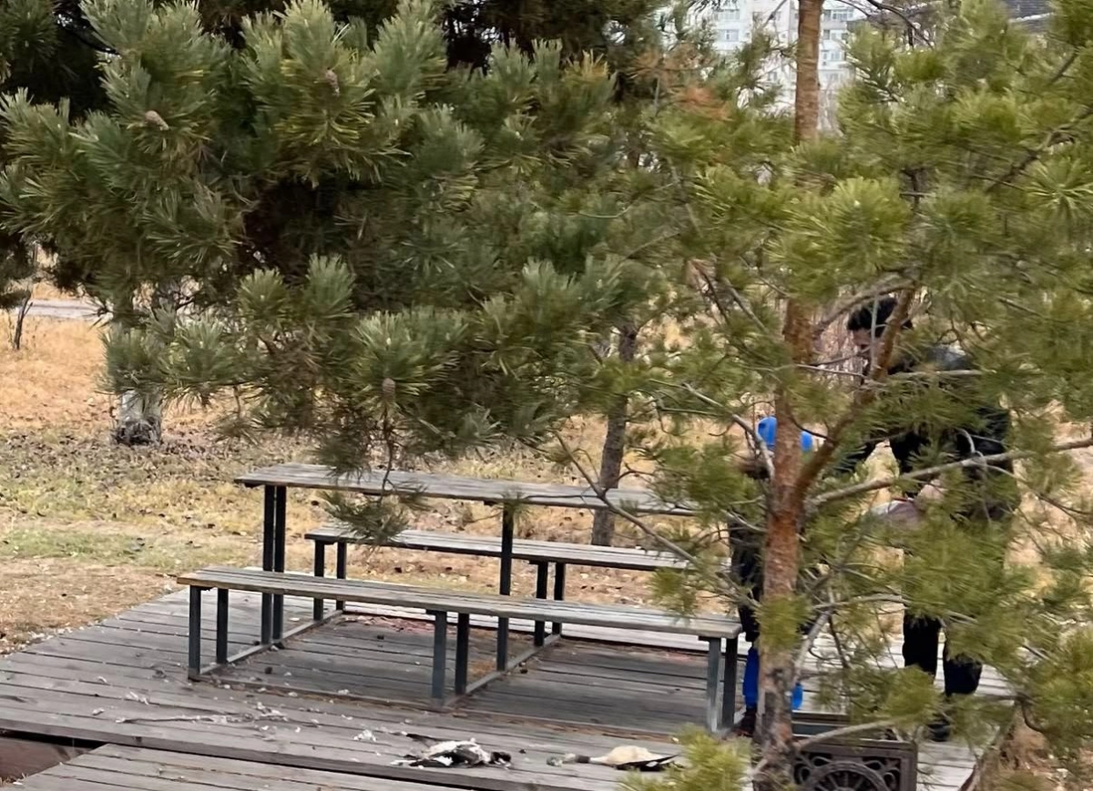 Фото из публикации автора