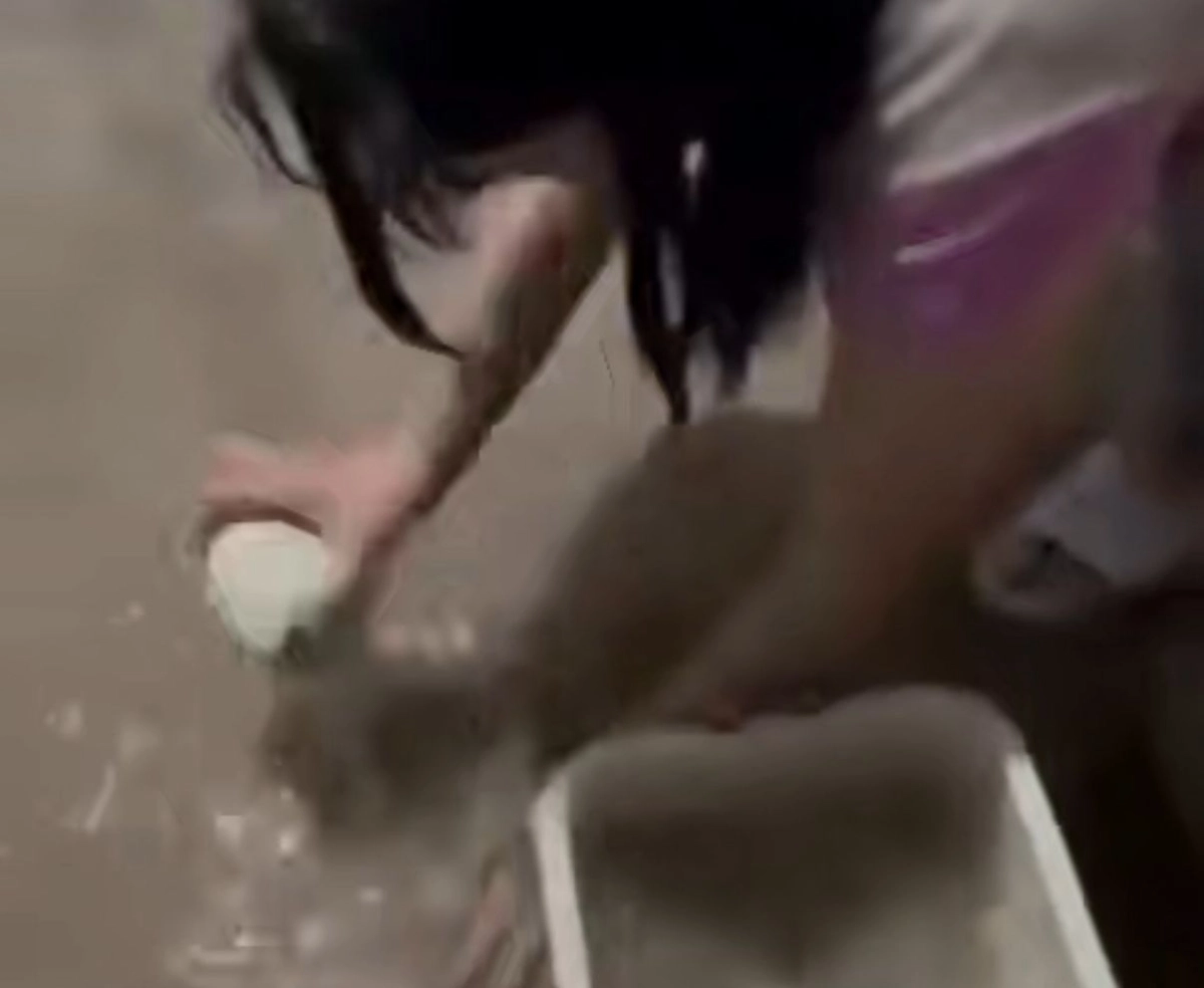 Фото: скриншот видео