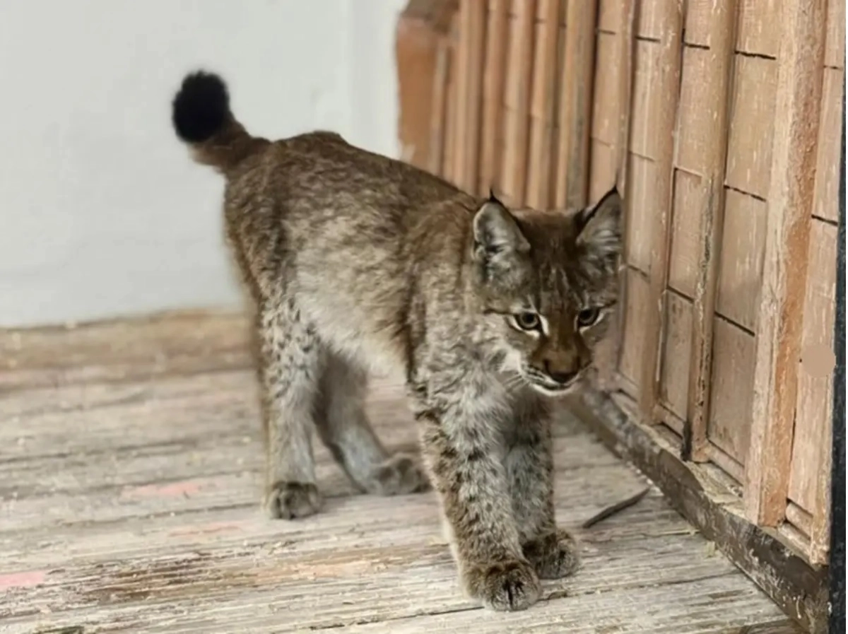 Фото: instagram.com/glpr.semeyormany