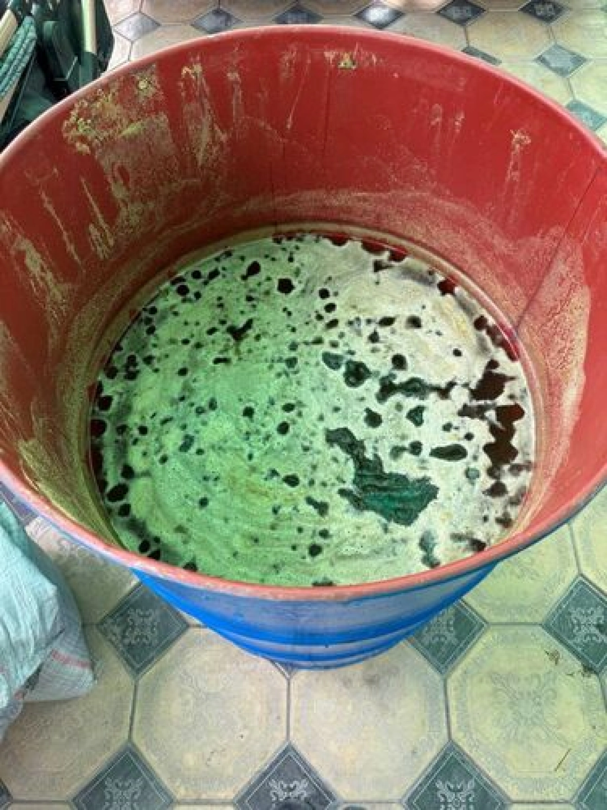 Фото: скриншот видео