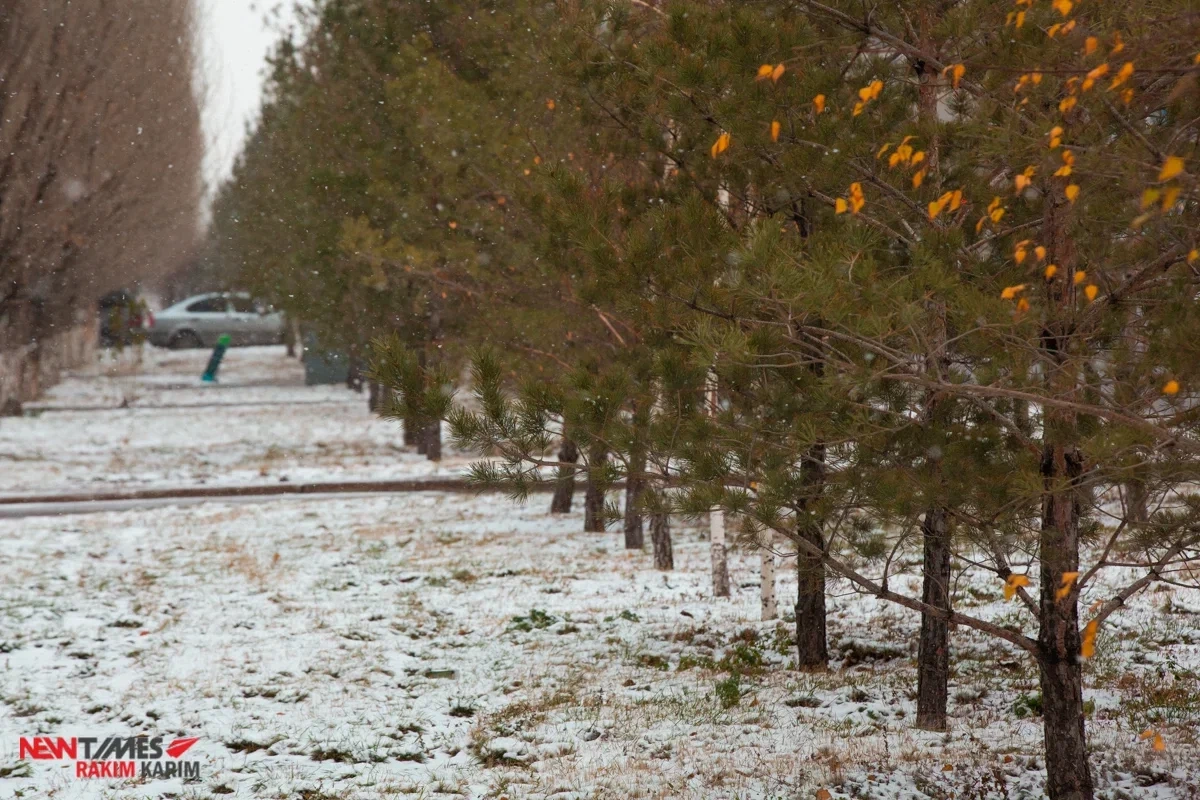 Фото: Newtimes.kz