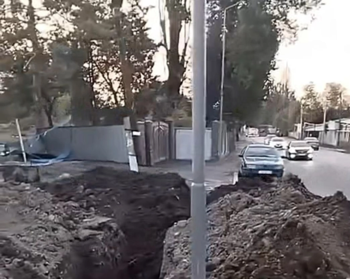 Фото: скриншот из видео