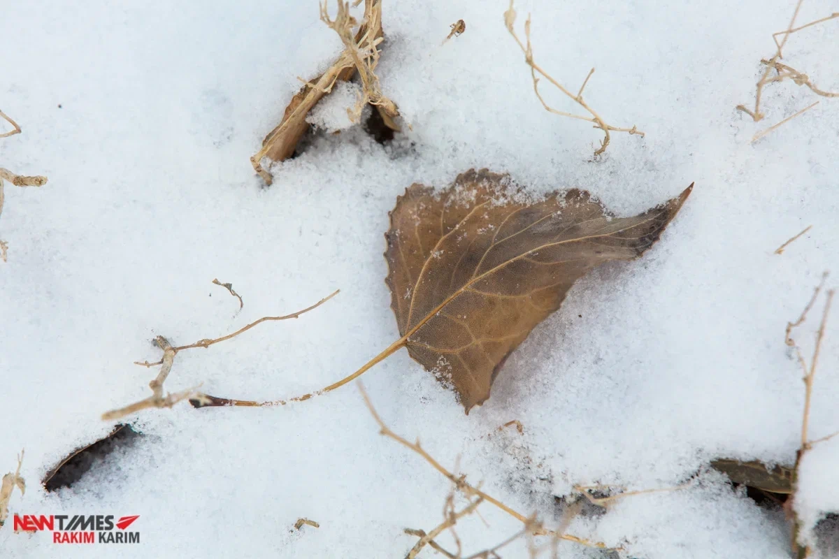 Фото: Newtimes.kz