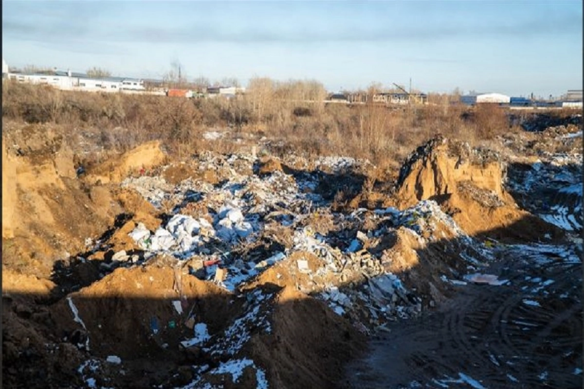 Фото: zhana.adamdar