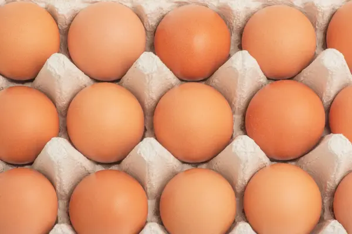 Фото: depositphotos.com