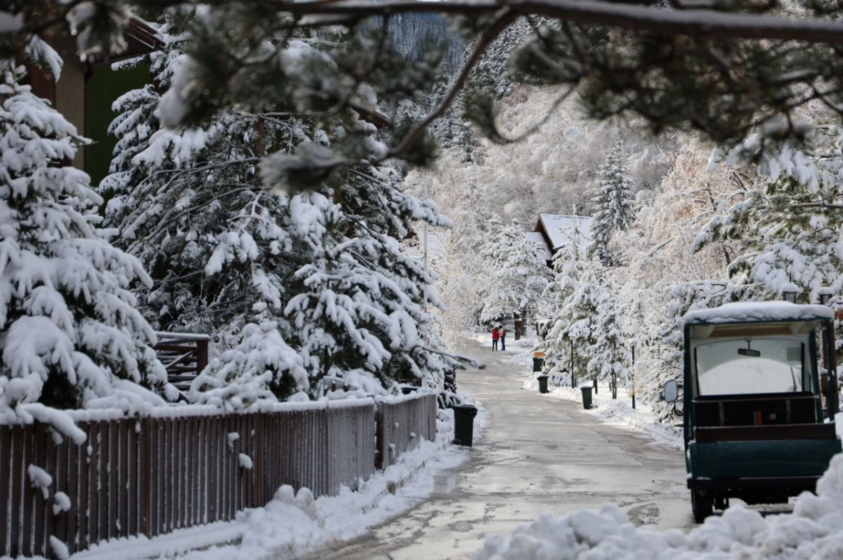 Фото: oiqaragai.com