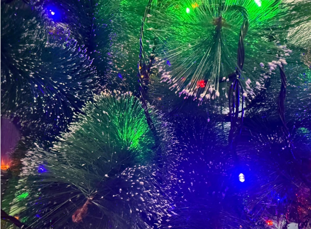 Фото: социальные сети