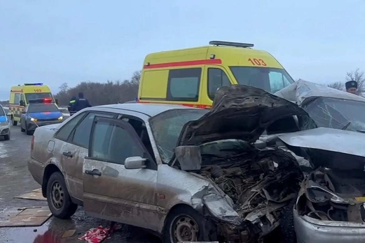 Фото: скриншот видео