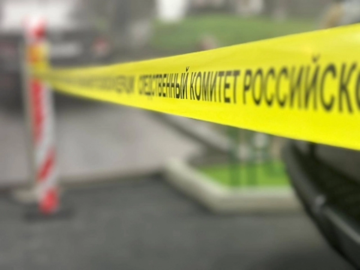 Фото ГСУ СК России по Москве