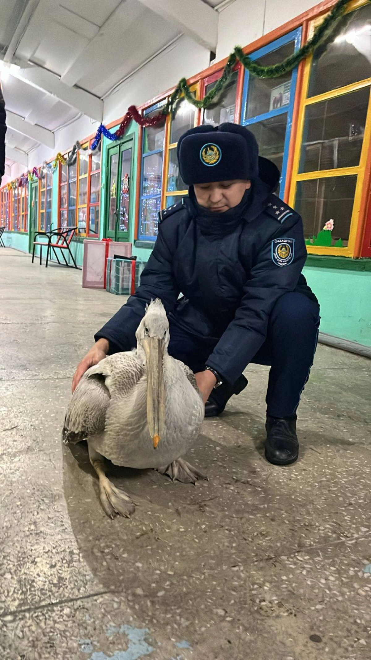 Фото: ДП области Абай