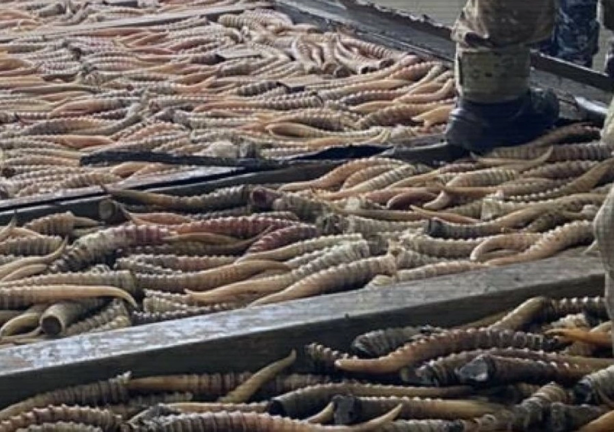 Фото: Polisia.kz