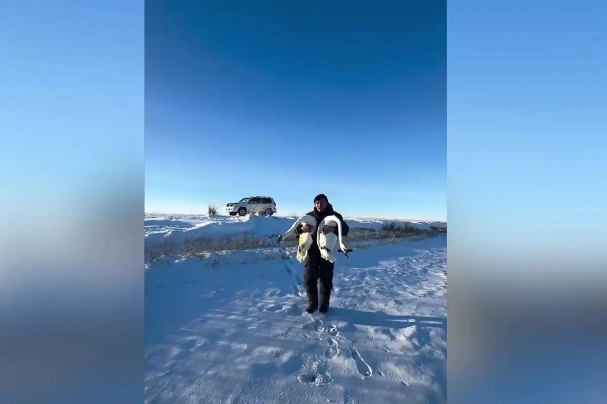 Фото: скриншот видео