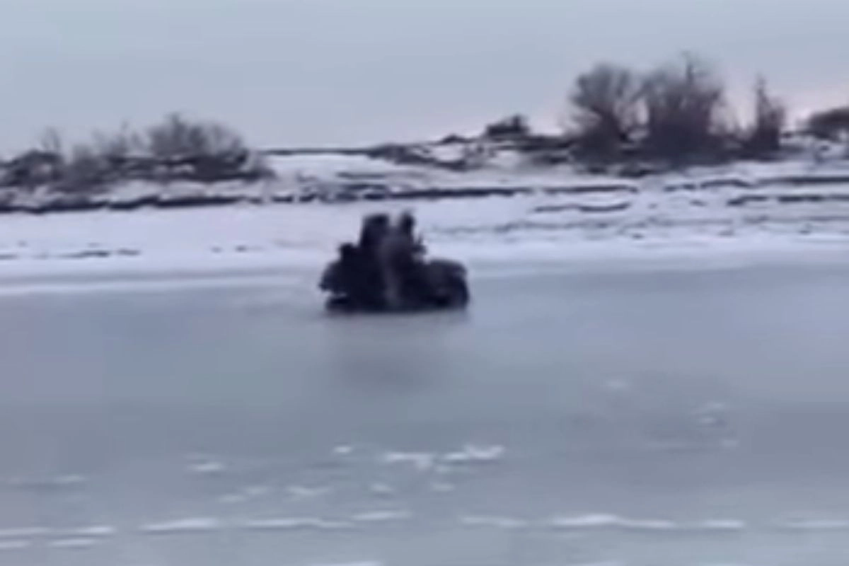 Кадр из видео