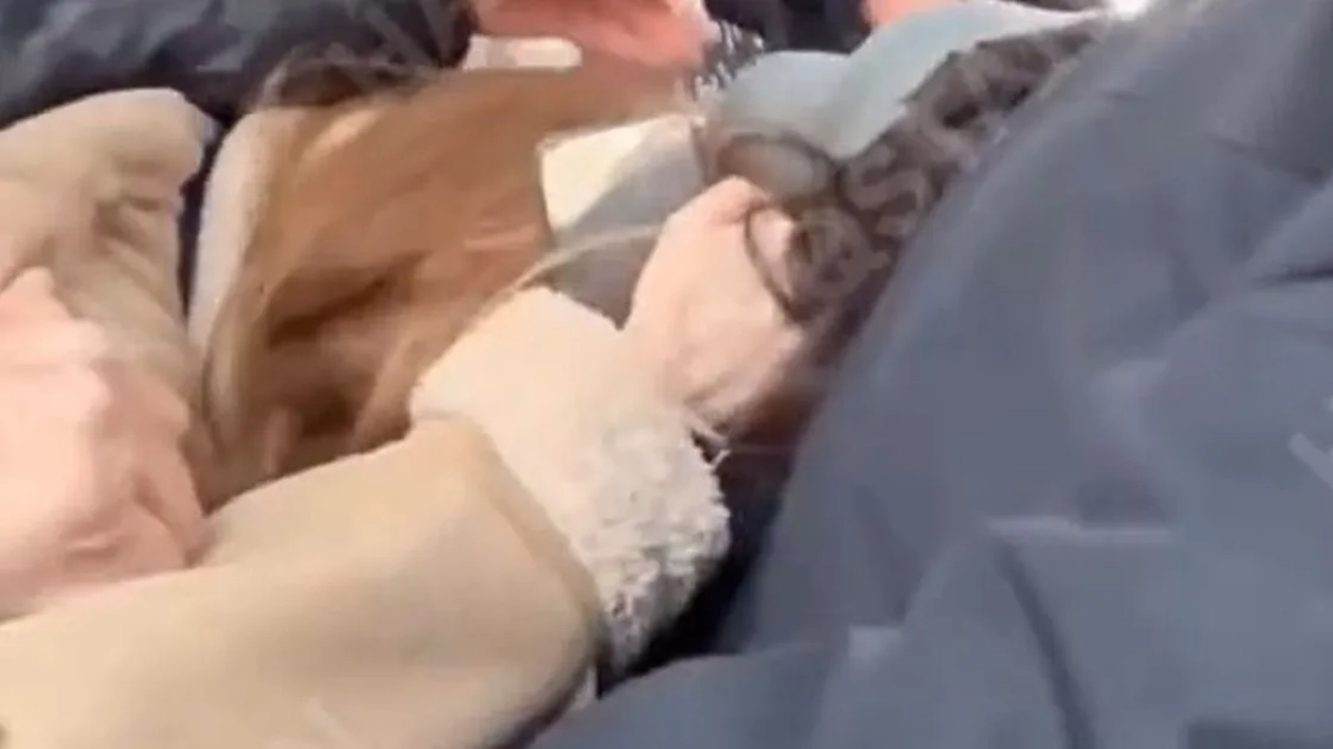 Кадр из видео