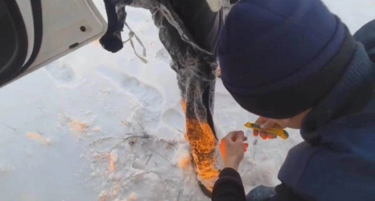 Кадр из видео