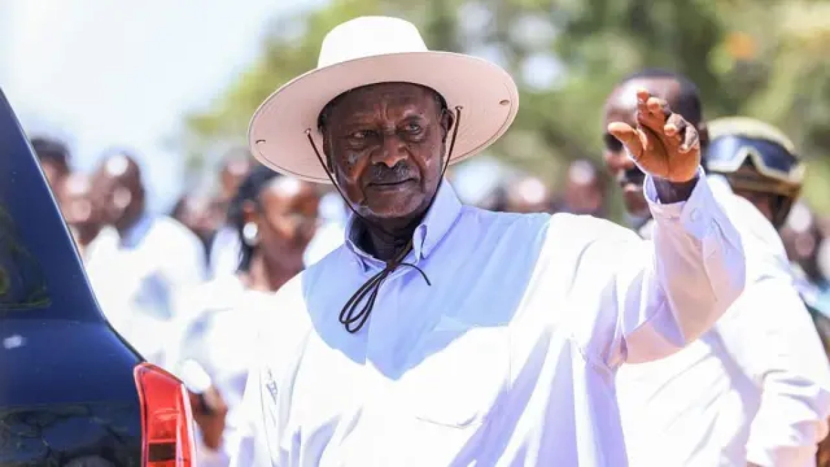 Фото: getty Images