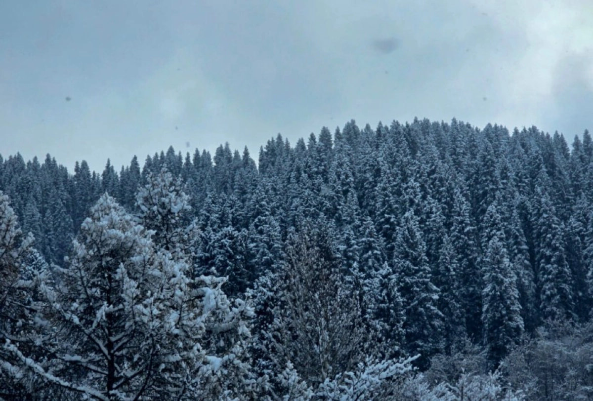 Фото: ИА «NewTimes.kz»