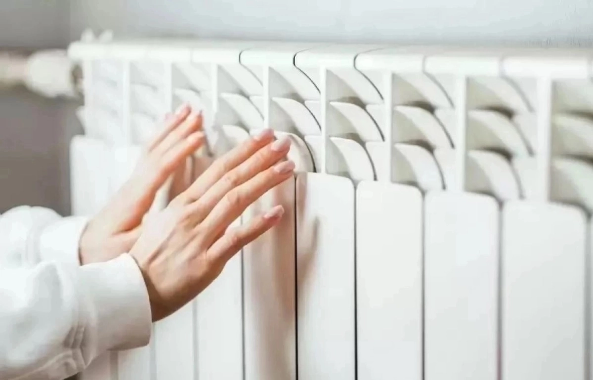 Фото: pexels.com