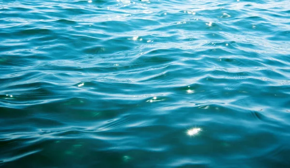 Фото: depositphotos.com