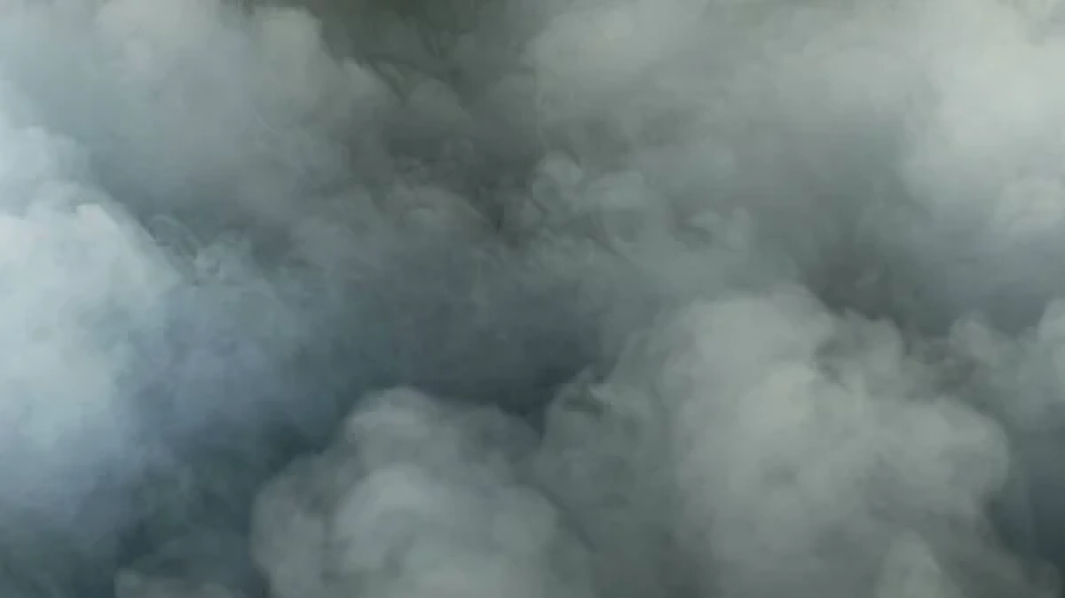 Фото: depositphotos.com