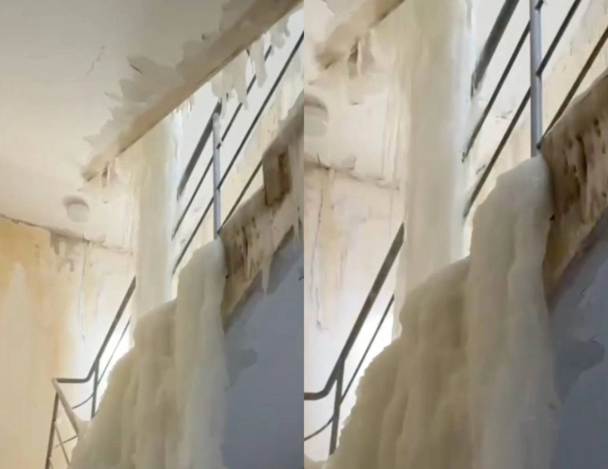 Фото: скриншот из видео