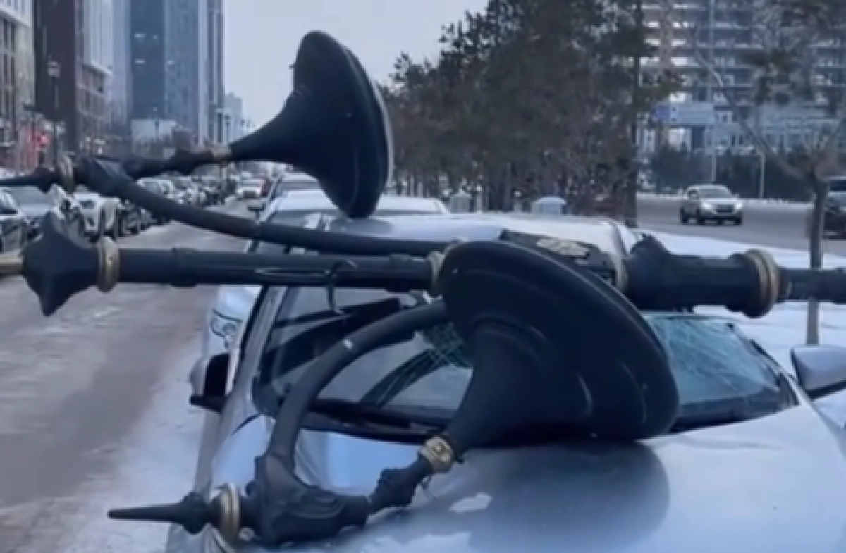 Фото: кадр из видео