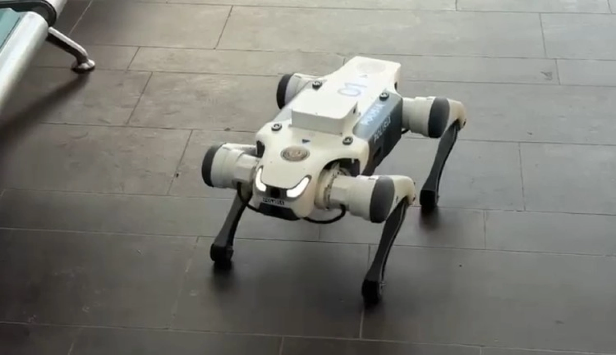 Фото: скриншот видео