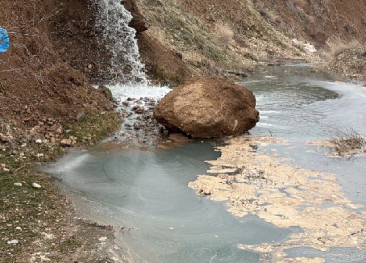 Кадр из видео