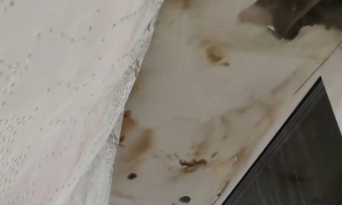 Фото: скриншот видео