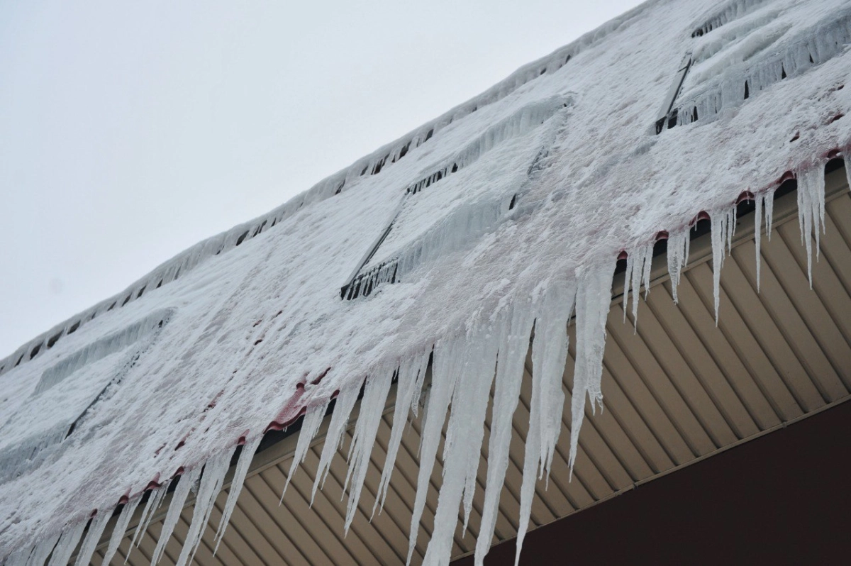 Фото: МЧС РК