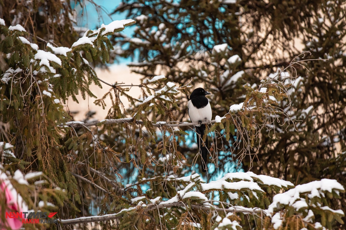Фото: Newtimes.kz