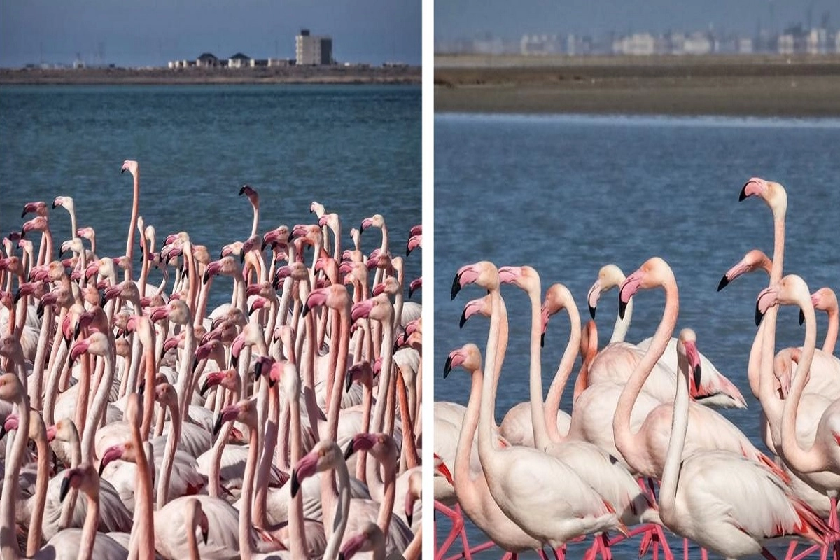 Фото: instagram.com/azamat_sarsenbayev