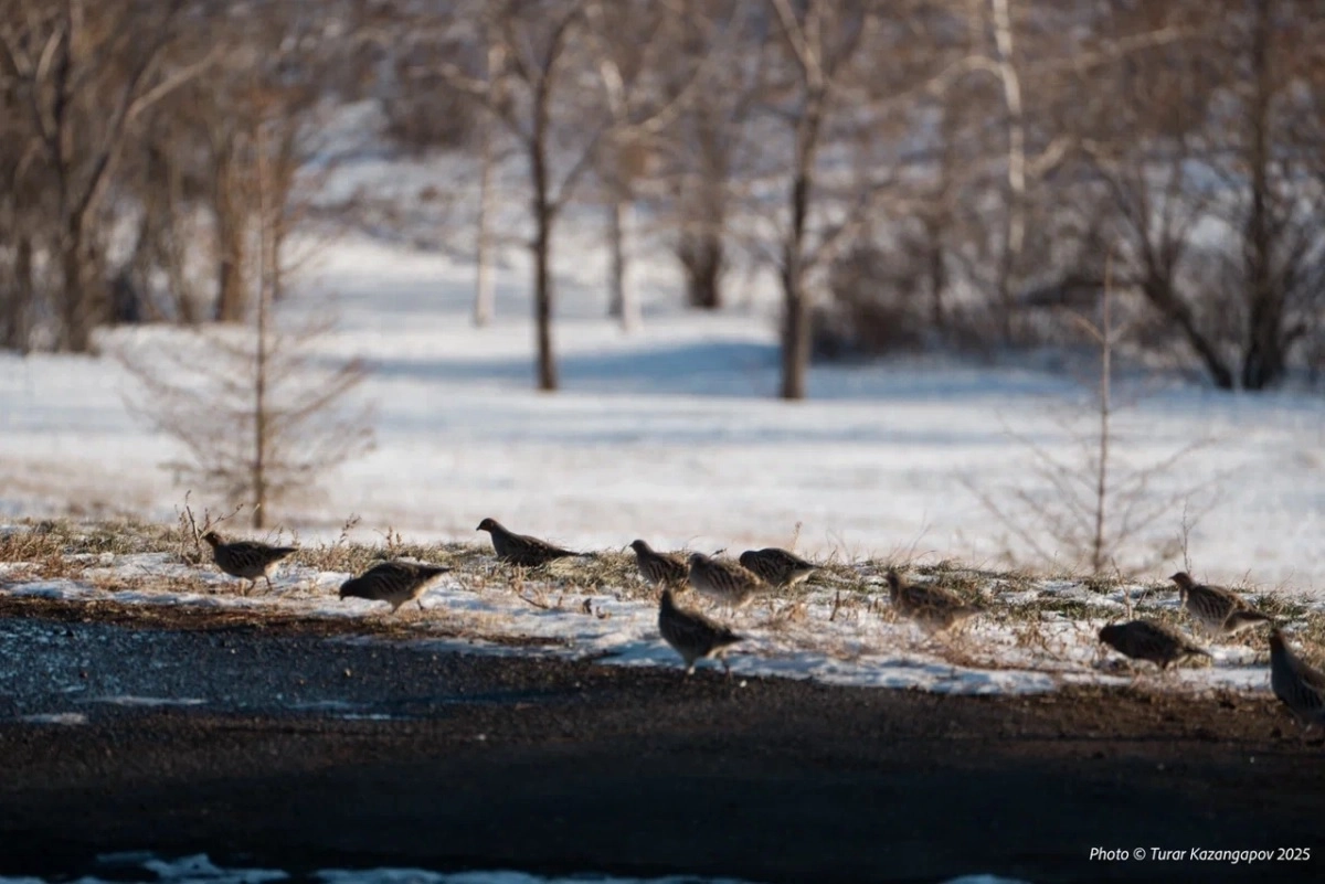 Фото: ИА «NewTimes.kz»