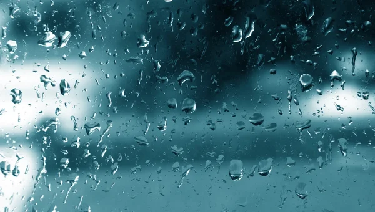 Фото: depositphotos.com