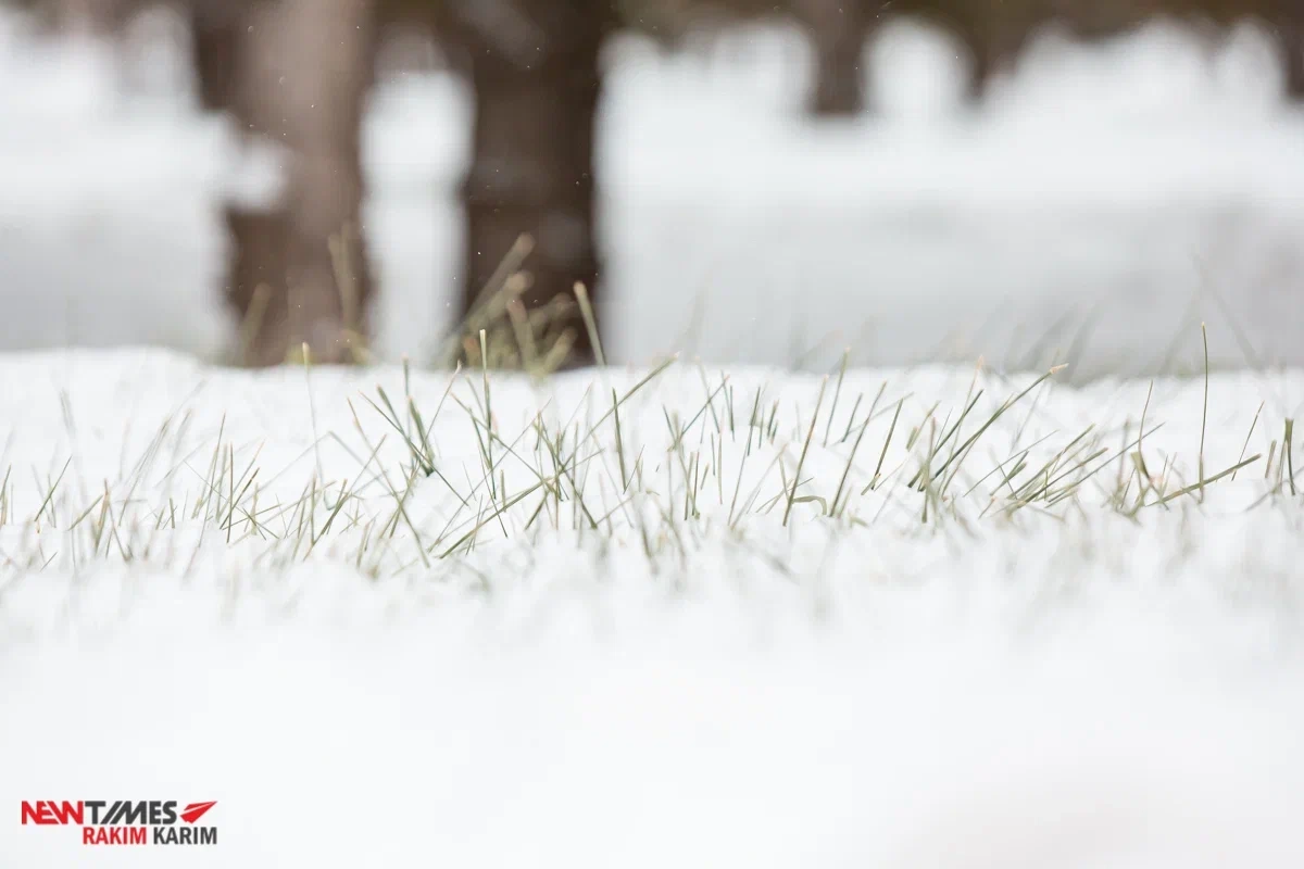 Фото: Newtimes.kz