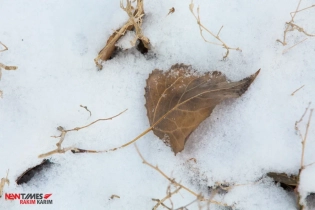 Прогноз погоды в Казахстане на 15 декабря