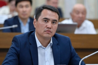 Депутат из Кыргызстана годами избивал жену