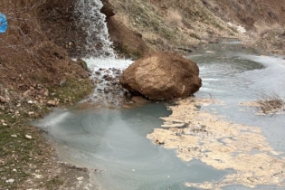 Рыба массово гибнет в реке в Шымкенте: экологи назвали причину