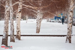Морозы из Казахстана обрушились на Москву
