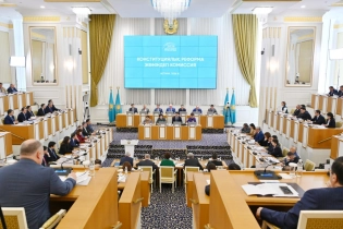 Новые виды собственности предложили закрепить в Конституции Казахстана