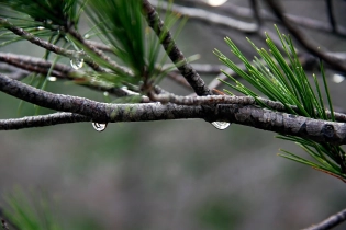 Какой будет погода в марте в Казахстане: прогноз