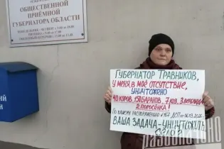 «Буду стоять до конца»: фермеры в России протестуют из-за массового уничтожения скота