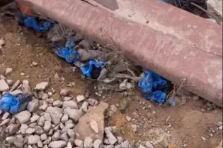 Свалка бахил у поликлиники в Астане возмутила казахстанцев